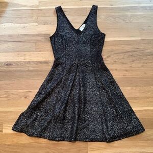 Everly Anthropology V-Neck Sleeveless Silver Sparkle Fit & Flare Dress Women’s S